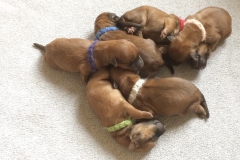 WhatsApp-Image-2019-03-26-at-15.18.40