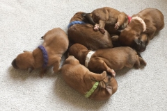 WhatsApp-Image-2019-03-26-at-15.18.41-1