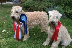 Die erfolgreichen Ladys